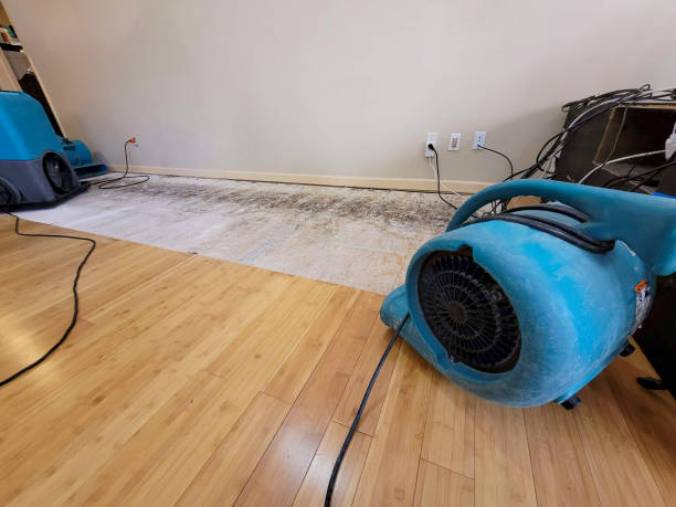 Professional Ceiling Water Damage Repair technician working in Wayne, NJ